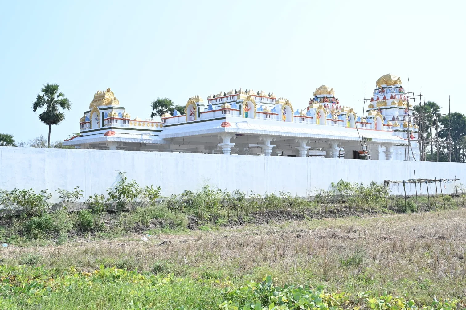 Sri Krishna and Saraswathi Temple at N. Gollapalem